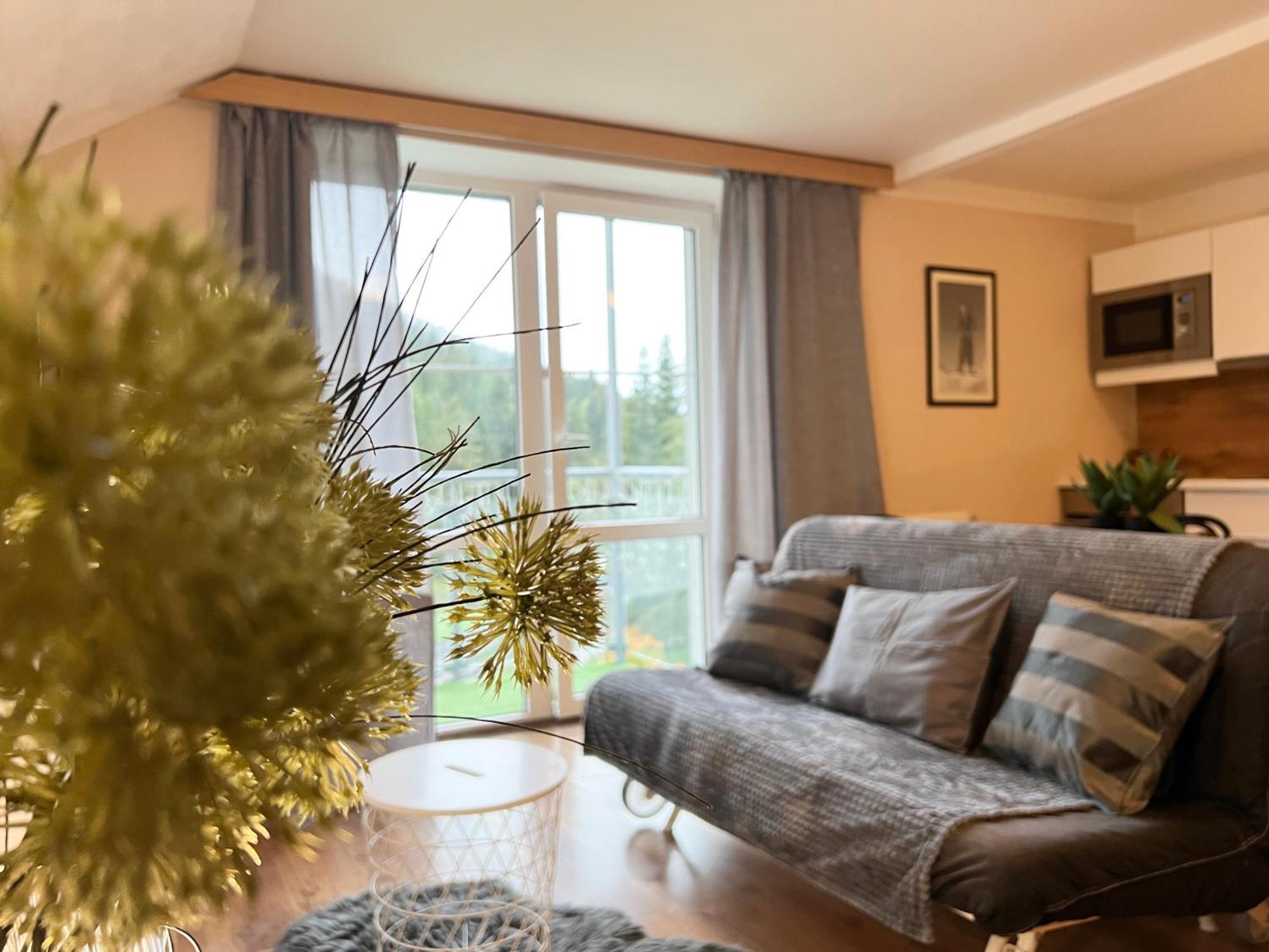 Apartmany Gryf Гаррахов Экстерьер фото